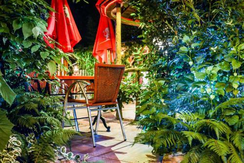 Hotel H�tel Restaurant Atipyc