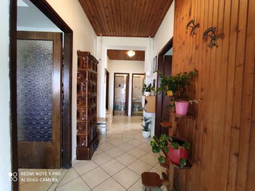 Apartments Marica