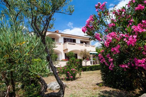 Speranza Apartment 2