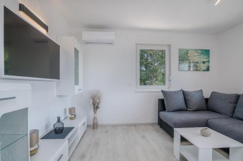 Apartments Villa "aurea" With Pool