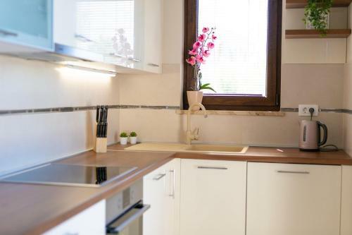 Luxury Apartments Villa Stina