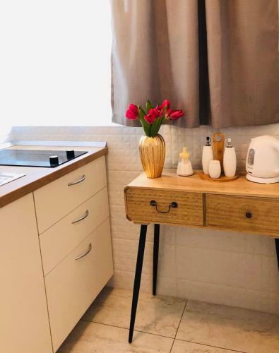 Studio Apartmani ?jarne?i??