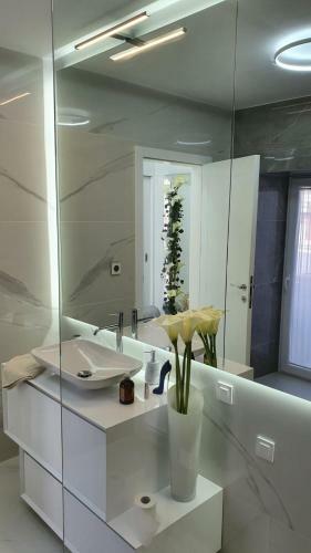 Apartamento Casa Aurelia Bed & Breakfast