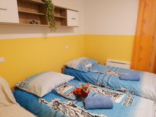 Orsi Apartman Kecskem�t