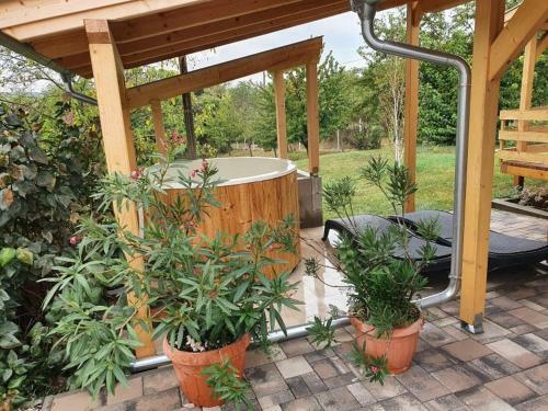 Bed & Breakfast Bork�ti Panzi� �s Apartman