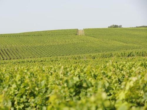 Bed & Breakfast Chateau La France