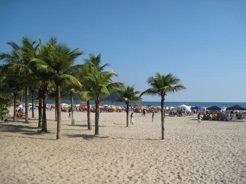 Belo Apartamento Ha 50m Da Praia