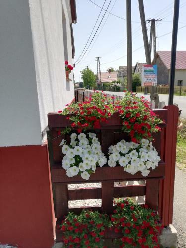 Hostal Szitak�t? Vend�gh�z
