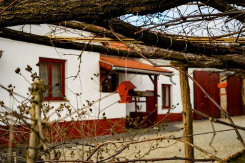 Hostal Szitak�t? Vend�gh�z
