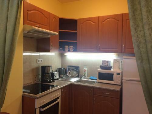 Rehab Apartment Vip