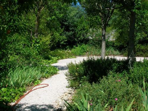 Bed & Breakfast Les Orchid�es