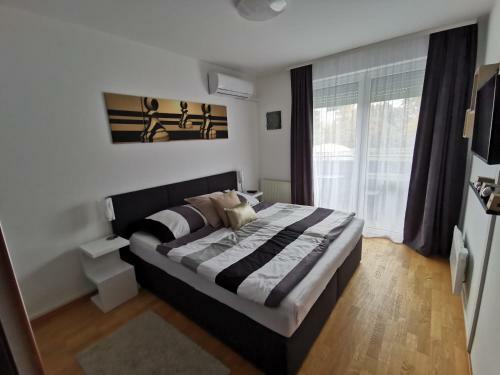 Freedom Apartman