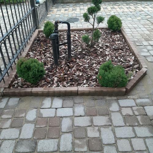 Az�r Vend�gh�z