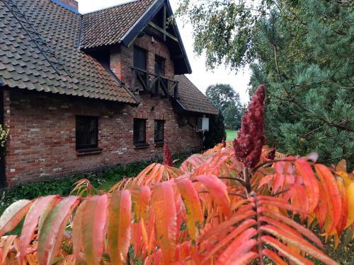 Apartamento Vasilevi?i? Sodyba - Entire Homestead With Sauna