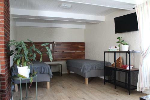 Apartamento Mono House