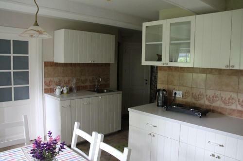 Apartamento Mono House