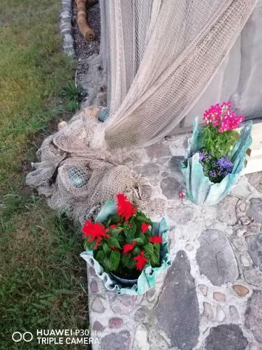 Apartamento Imantas