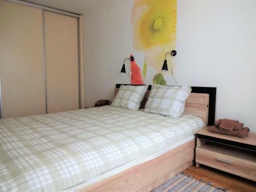 Kaktuss Apartamenti