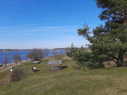 New Bright Stylish Apartment Near Riga