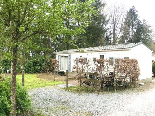 Bos Chalet In Epe Op De Veluwe