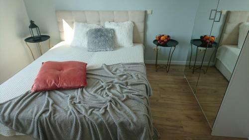 Villa Florance Apartments With Parking