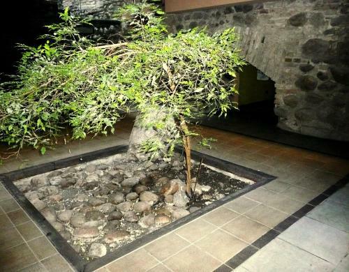 Like Home Apartments-stepono - 3 Entire Flats
