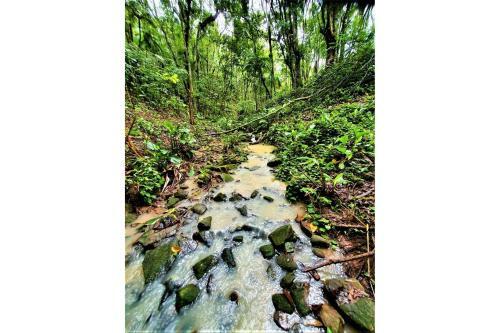 Capricho De Santo Amaro/sc
