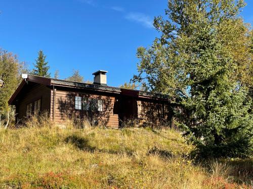 Bj�rnehiet Havsdalen