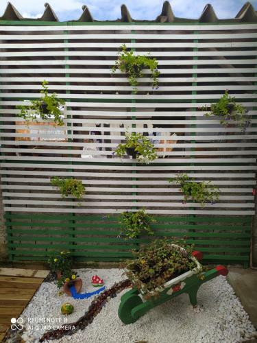 Hostal Cantinho Da Tia Sandra Su�te 3