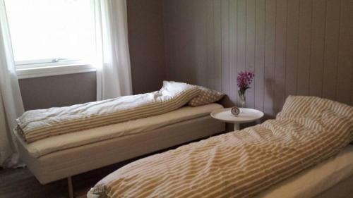 Telemark Motel And Apartment