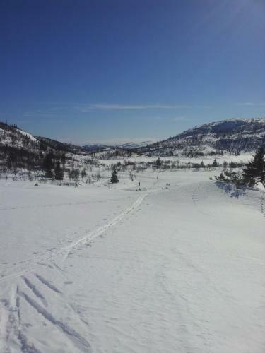 Telemark Motel And Apartment