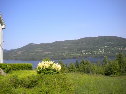 Agroturismo Telemark Inn - Hytte
