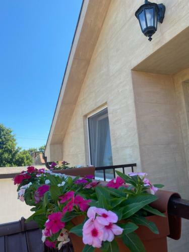 Apartamento Omis Rooms