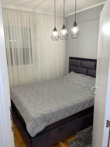 Apartments Novi Sad
