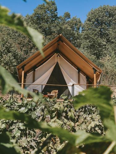 Lala Vineyard Glamping Resort