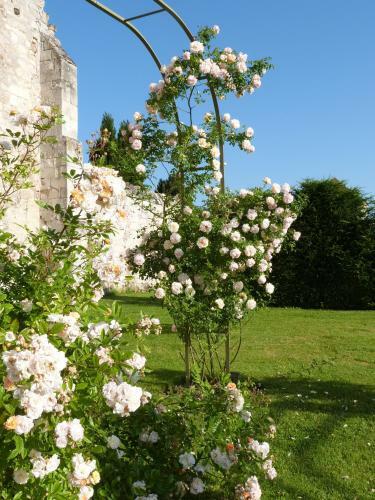 Bed & Breakfast Manoir Du Plessis Au Bois