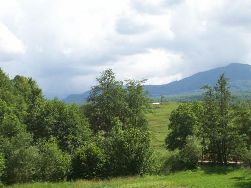 Hostal Pensiunea Mara