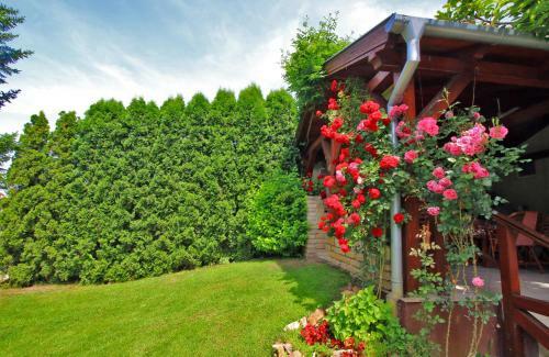 Villa ?umski Raj