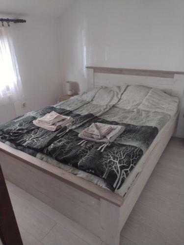 Apartman Dm