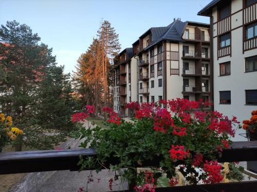 Apartman 23 Titova Vila