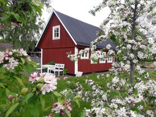 Br�sarp K�llag�rden Vedboden