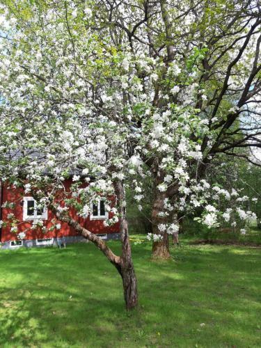 Charming Holiday Home Villa Berika