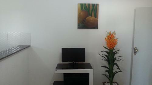 Apartamento Brasil Mulato