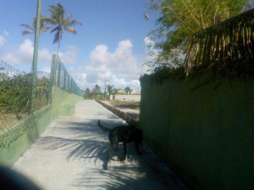 Casa de Praia Condom�nio Parque Do Jacu�pe