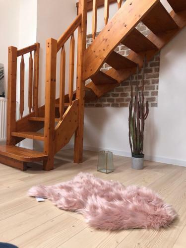 Apartm�ny Reduta