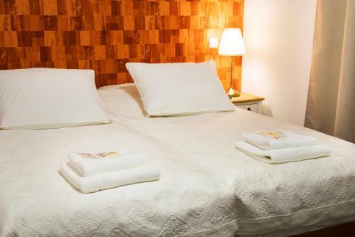 Villa Centrum Apartm�ny