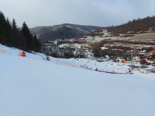 M�to Apartments Bergmax