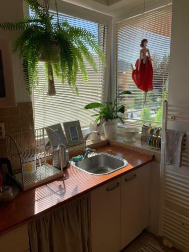 Apartment ?tef�nka