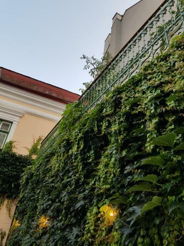 Hostal Villa Vodicka
