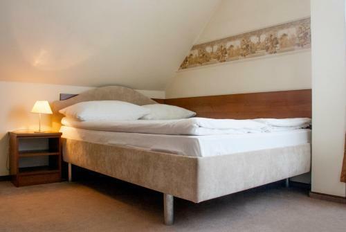 Hotel Cesarski